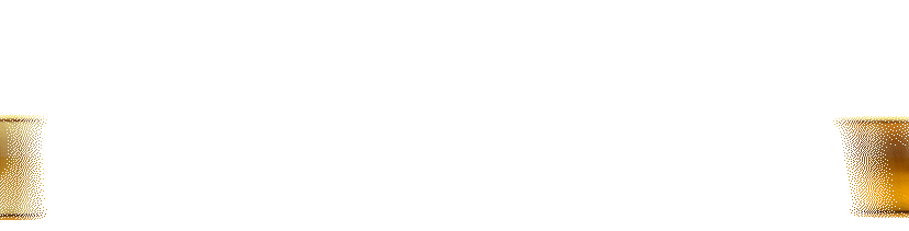 TOPIWANGI